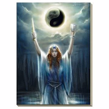 Mostrar detalles para DIARIO LIBRO DE LAS SOMBRAS Imagen de DIARIO LIBRO DE LAS SOMBRAS