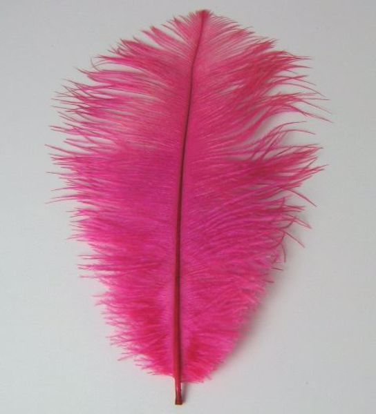 Picture of Pluma rosa 24X8 cms aprox.