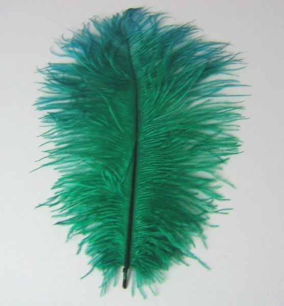 Imagen de Pluma verde 24X8 cms aprox.