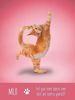 Imagen de Yoga Cats Deck & Book Set