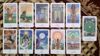 Picture of vision quest tarot deck