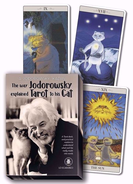 Picture of Jodorowsky and his Cat